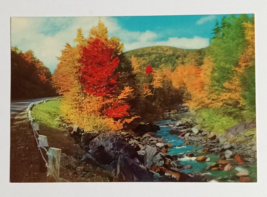 Autumn Roads Scenic Mountain Northeast PA Fall Foliage Dexter Postcard 1950s - $3.99