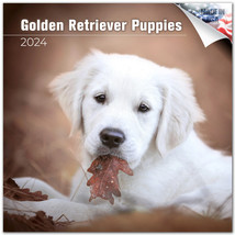 GOLDEN RETRIEVER PUPPIES Wall Calendar 2024 DOG PET Animal Lover Gift Puppy - £19.77 GBP