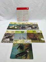 Lot Of (7) 1975 Rencontre Birds I Education Cards - $24.74