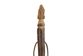 Morel Mushroom Carving in dark wood, Walking Stick - Functional Art - Ha... - £69.50 GBP