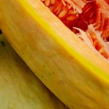 Fresh Garden Banana Melon Seeds | NON-GMO | Heirloom | Seeds - £6.74 GBP