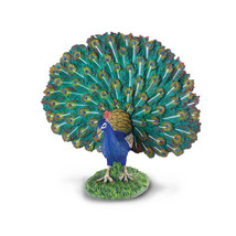 CollectA Peacock Figure (Large) - £23.36 GBP