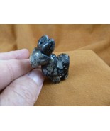 Y-BUR-576 Green Black Kambaba Jasper BURRO donkey mule gemstone FIGURINE... - €16,23 EUR