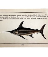 Swordfish 1939 Salt Water Fish Gordon Ertz Color Plate Print Antique PCBG19 - $41.01 CAD