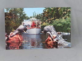 Vintage Postcard - Jungle Cruise Hippopotamus Disneyland-Walt Disney Productions - £11.96 GBP