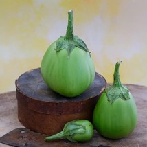 Eggplant Satsuma Long, 25 Seeds R - £12.79 GBP