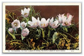 Anemone Blossoms State Flower of South Dakota SD UNP Linen Postcard O17 - £1.54 GBP