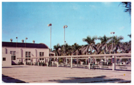 Shuffleboard Court Yacht Basin Park Fort Myers Florida Postcard Posted 1960 - £7.08 GBP