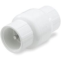 Check Valve PVC 1/2fip - $19.19
