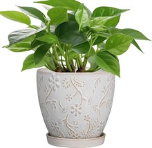 6 Inch Ceramic Plant Pot For Indoor Plants Outdoor Round Planter Flower ... - $37.96