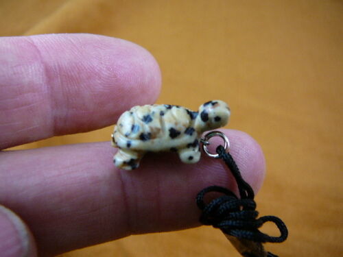 (an-turt-3) TURTLE tortoise SPOTS carving Pendant NECKLACE FIGURINE love... - $7.70