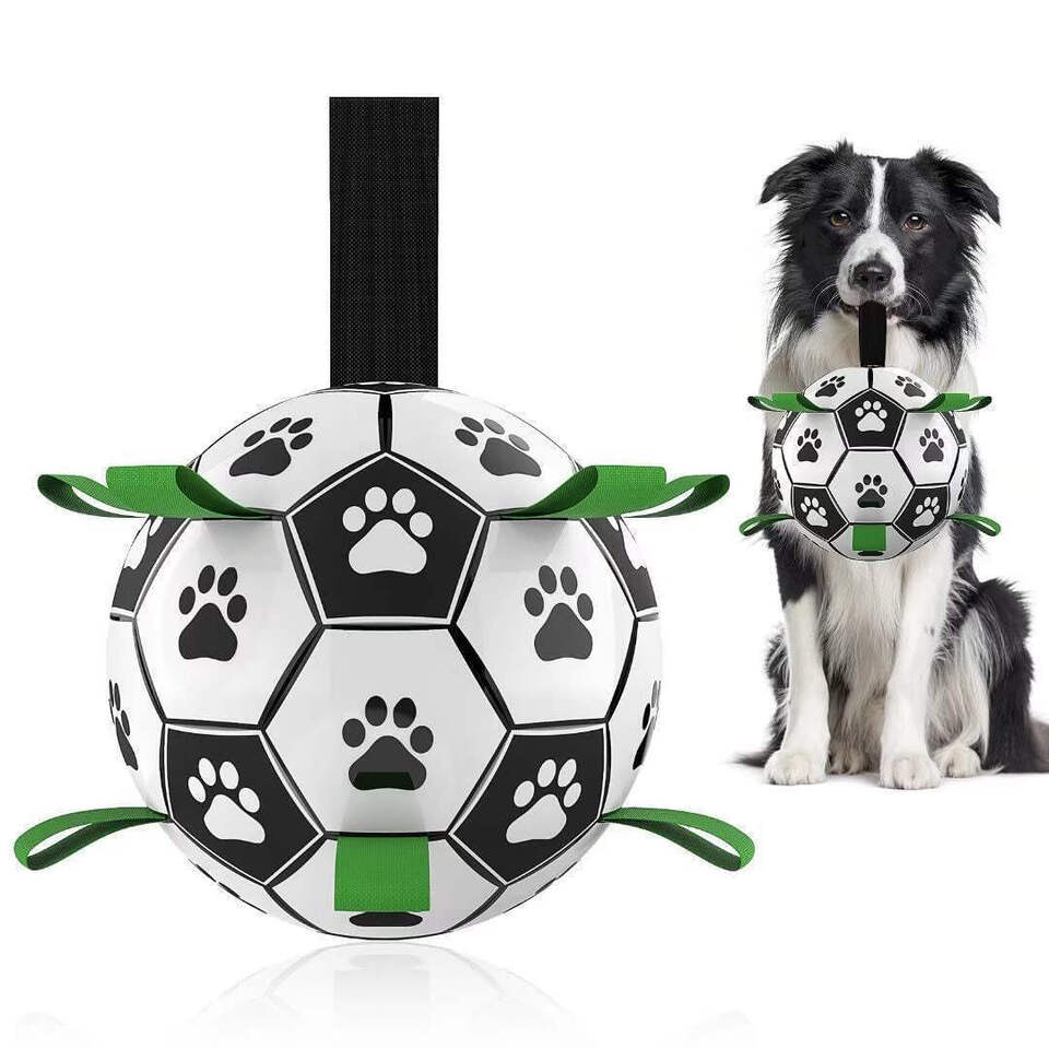 Interactive Football Ball Dog Toy - $21.94+