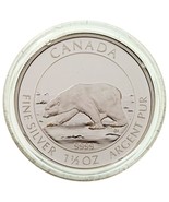 2013 Canada $8 Dollar Polar Bear Proof Silver Coin w/ Box &amp; CoA - €125,86 EUR