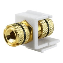 Gold-Plated Speaker Binding Post Keystone Insert (White, Black Band) - £11.35 GBP