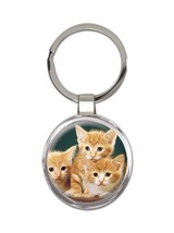 Cats : Gift Keychain Cute Funny Pet Animal Friend Kitten Feline Pets Lover Cat M - £6.42 GBP