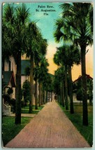 Palm Row St Augustine Florida FL 1912 DB Postcard F9 - £2.41 GBP