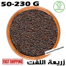 Moroccan Natural Turnip Seeds Dried Organic Pure Herb Spice 50-230G بذور... - £7.76 GBP+
