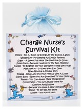 Charge Nurse&#39;s Survival Kit - Fun, Novelty Gift &amp; Greetings Card Alternative - £6.48 GBP