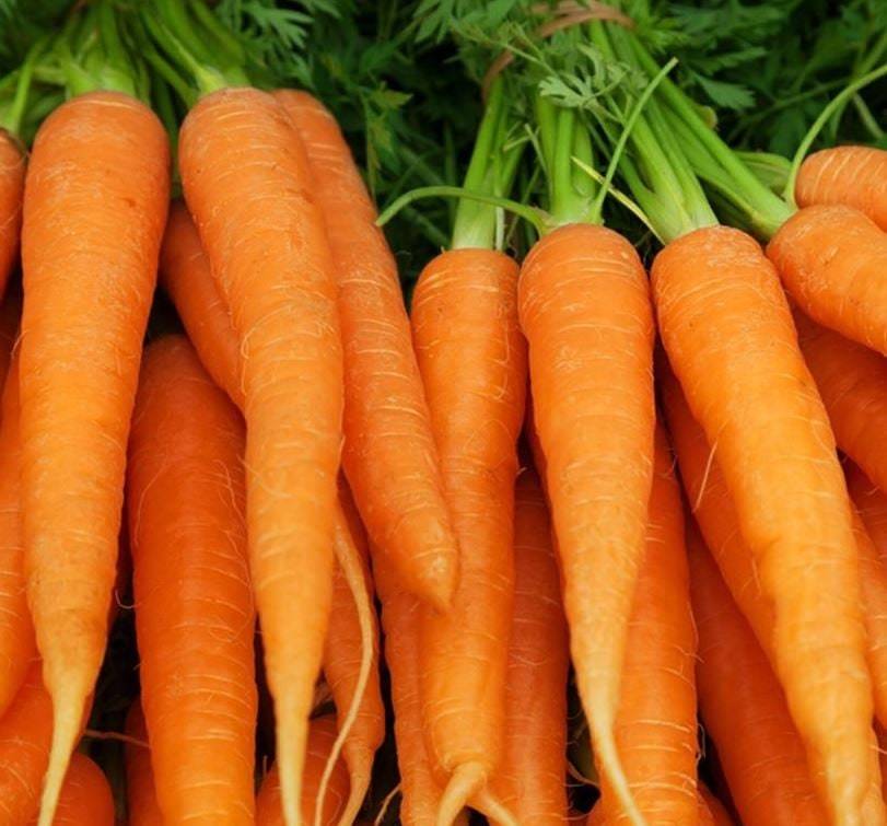 Imperator Carrots Seeds Great For Juicing Organic Carrot Seeds Seeds Veg... - $2.98