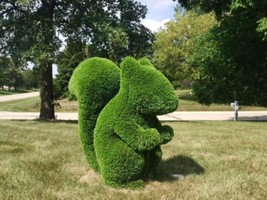 Outdoor Animal Squirrel Topiary Green Figures 39&quot; covered in Artificial Grass La - £1,238.54 GBP