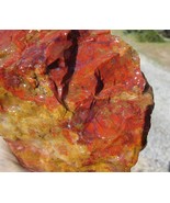 Arizona Petrified Wood Agate Rough 6Inch X 41/2Inch X 4Inch 4Lbs 10Ozs F... - $1,501.54 MXN