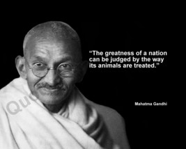MAHATMA GANDHI &quot;THE GREATNESS OF A NATION CAN BE...&quot; QUOTE PHOTO VARIOUS... - $4.84+