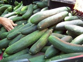 TKBONStore 90 Straight Eight Cucumber Seeds Heirloom Non Gmo Organic Fresh - £6.30 GBP