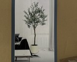 CG Hunter Lifelike Olive Tree 6.5 ft - £141.06 GBP