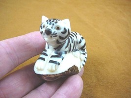 (TNE-TIG-211-A) White Bengal Tiger Wild Cub Tagua Nut Figurine Carving Tigers - £20.32 GBP
