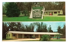 Flamingo Motel US 41 Old Cars Palms Lake City Florida FL Dexter Postcard 1967 - $12.99