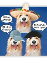Hello Friend! - Hello Greeting Card - 00789 - $1.39 Hello Friend! - Hello Greeting Card - 00789 - $1.39