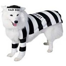 Prisoner Small Bad Dog Costume Rubies Pet Shop - £10.28 GBP