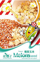 Organic Popcorn Original Pack 30 - £7.02 GBP