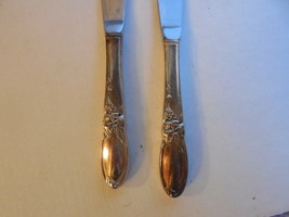 2 Oneida Community Silverplate 1953 White Orchid Dinner Knives (Disc) - $11.87