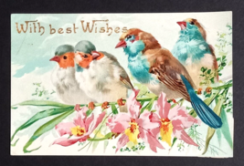 With Best Wishes Four Blue Birds on Branch w/ Flowers Gel Coated Postcard c1900s - $9.99