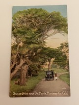 Scenic Drive Near Del Monte Monterey California Postcard Vintage Car &amp; Clothing - £7.86 GBP