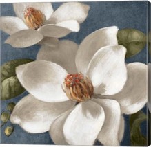 Magnolia on Blue 1 Gallery Wrapped Canvas by Lanie Loreth - £235.20 GBP+
