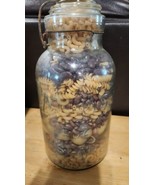 VINTAGE ATLAS E-Z SEAL LARGE  CANNING JAR  MASON  GLASS  LID WIRE 1/2 Ga... - $60.92 CAD