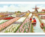 Artist View Tulip Field and Windmill UNP Unused WB Postcard L2 - $2.92