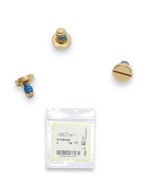Versace VE 2234 VE 2235 Golden Replacement Front &amp; Temple Side Screws Ge... - €42,74 EUR