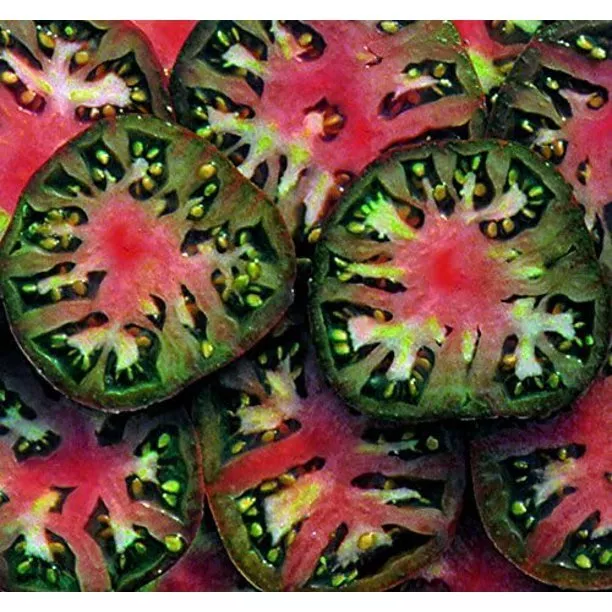 BStore 15 Black Sea Man Tomato Heirloom Non-Gmo Seeds Starter Kits - $13.70 CAD