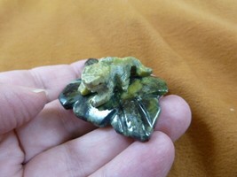 (Y-LIZ-IG-165) Baby Iguana On Leaf Carving Green Gem Gemstone Figurine Lizard - £9.57 GBP
