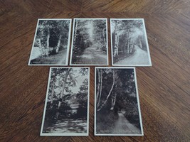&quot; Birches &quot; Near NORTH STRATFORD New Hampshire Postcard Real Photo Lot of 5 - £22.24 GBP
