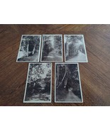 &quot; Birches &quot; Near NORTH STRATFORD New Hampshire Postcard Real Photo Lot of 5 - $27.83