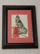 Friends Photograph By John H Buck Butterflies/Flowers Glass Picture Wood Framed - £11.65 GBP