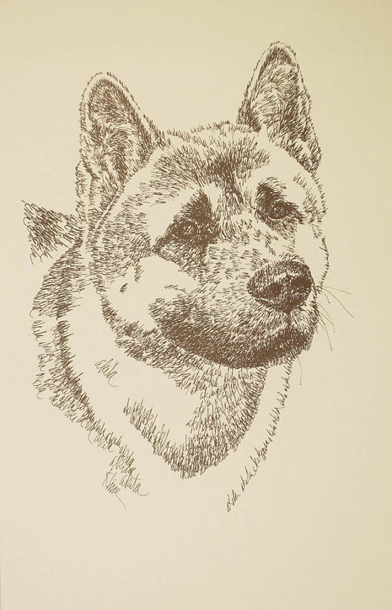 Akita dog art portrait drawing. PRINT 44 Kline adds dog's name free GREAT GIFT - £39.11 GBP