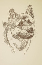 Akita dog art portrait drawing. PRINT 44 Kline adds dog&#39;s name free GREA... - $49.95