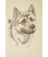Akita dog art portrait drawing. PRINT 44 Kline adds dog's name free GREAT GIFT - $49.95