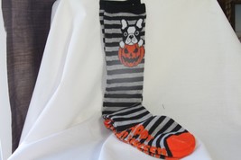 Ladies Socks 1 Pr. (New) Knee High - Dog In Pumpkin - Blk Strip Halloween Socks - £8.43 GBP