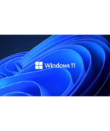 Windows 11 Prro Perpetual License E-Delivey New - $276.72 CAD
